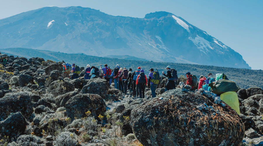 7 DAYS MOUNT KILIMANJARO CLIMB - LEMOSHO ROUTE